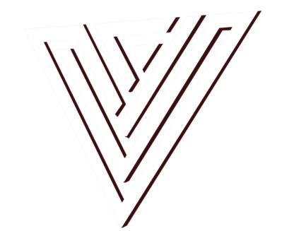 Vinasai logo